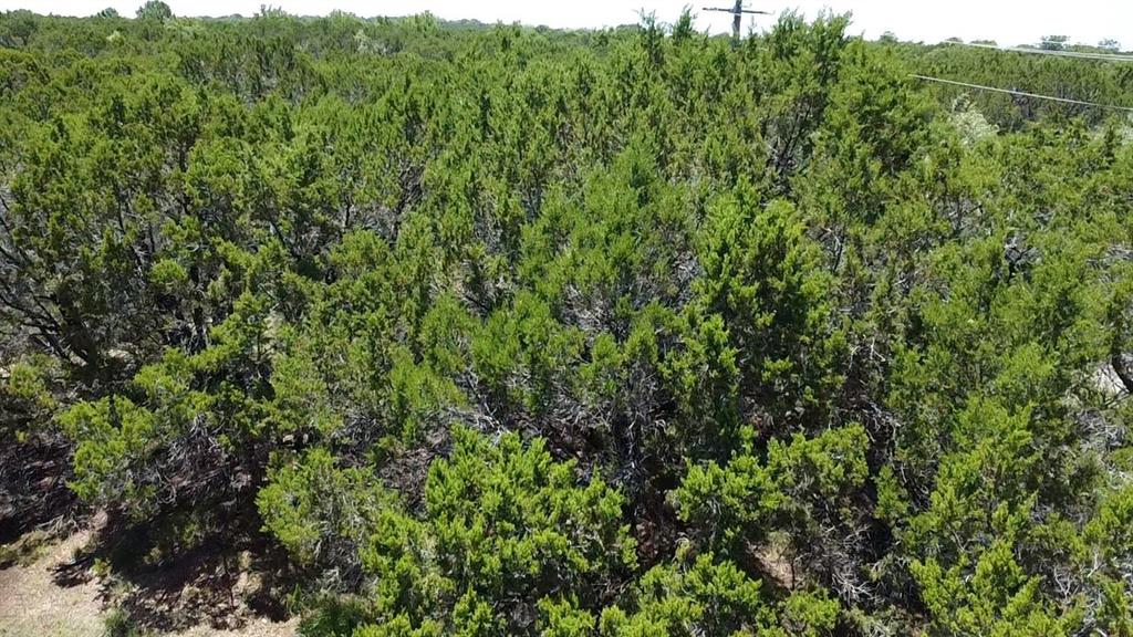 White Bluff #29 - Land