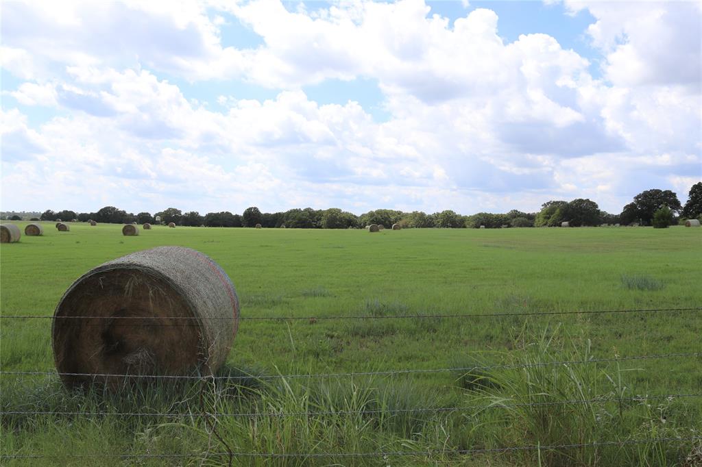 36 ACRES FM 1749
