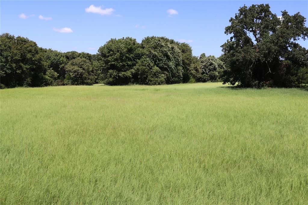 36 ACRES FM 1749