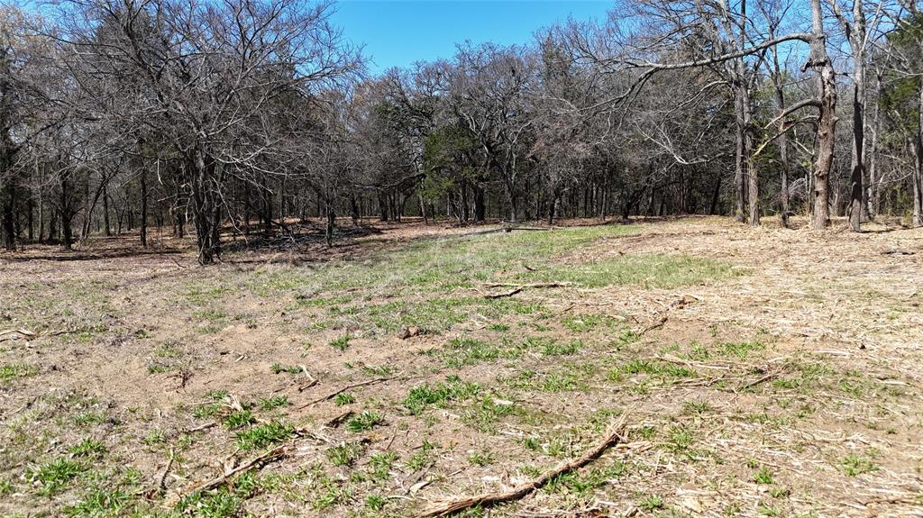 Hendrix-Mitchell - Land