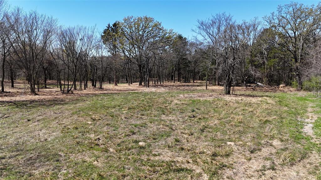 Hendrix-Mitchell - Land