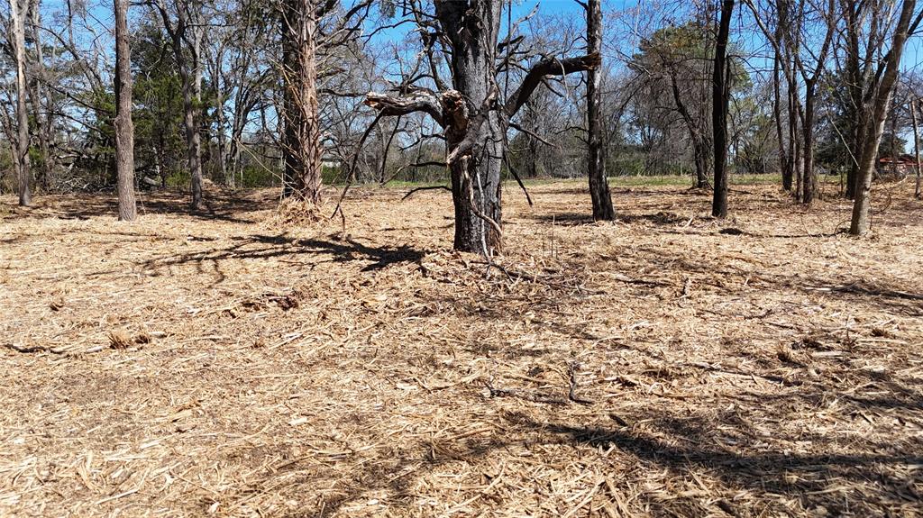 Hendrix-Mitchell - Land