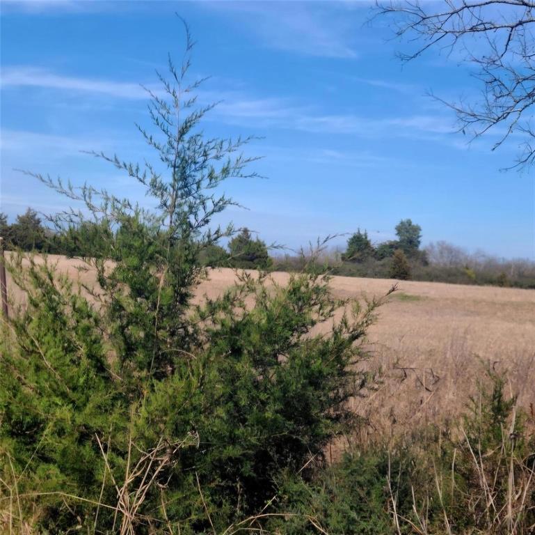 SHELBY GEORGE - Land