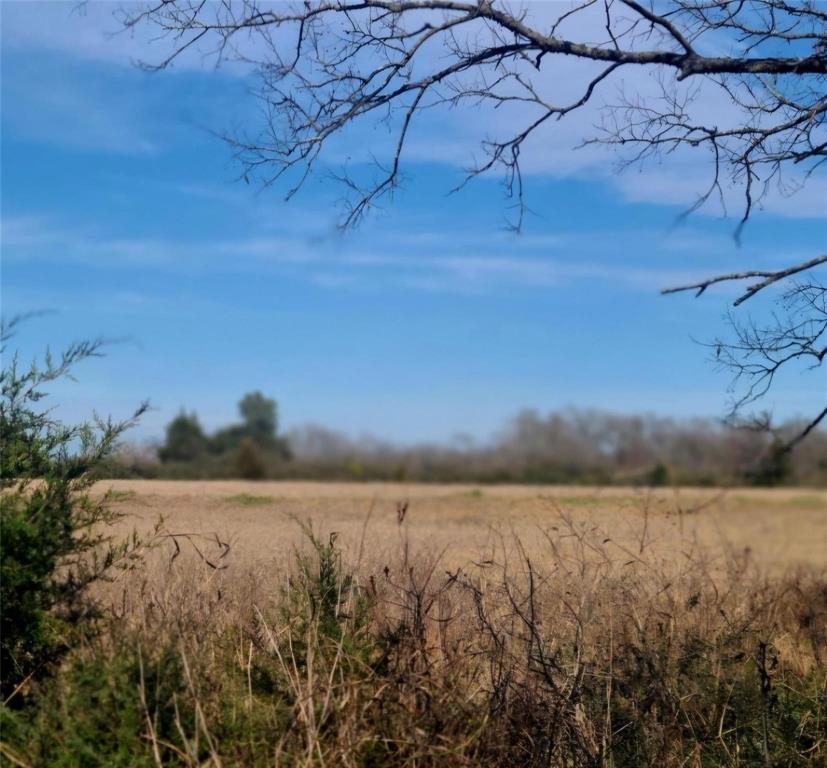 SHELBY GEORGE - Land