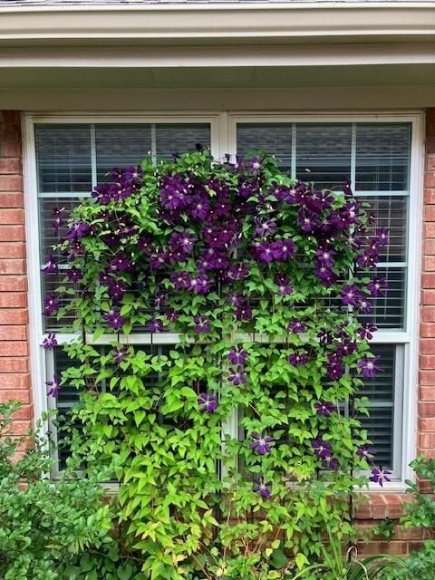 Tiny photo for 2220 Tiffany Glenn Court, Bedford, TX 76021 (MLS # 21097595)