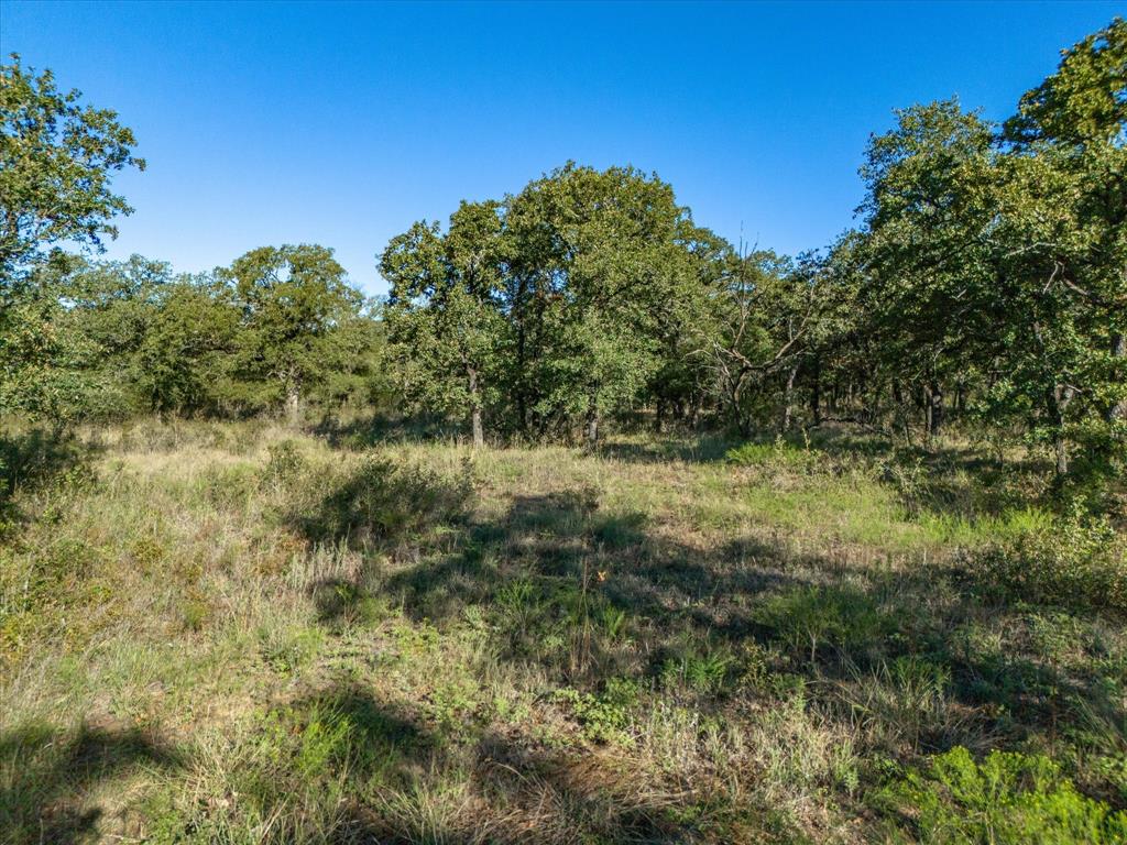 52 acs out of T&P RR - Land