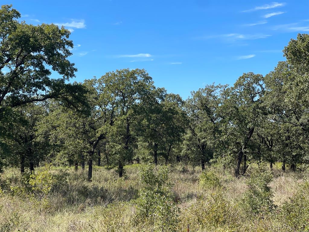 52 acs out of T&P RR - Land