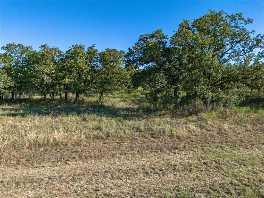 52 acs out of T&P RR - Land