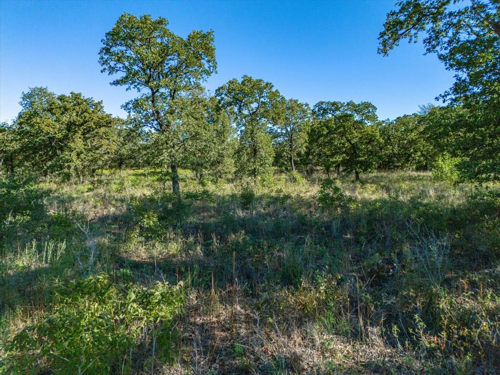 52 acs out of T&P RR - Land