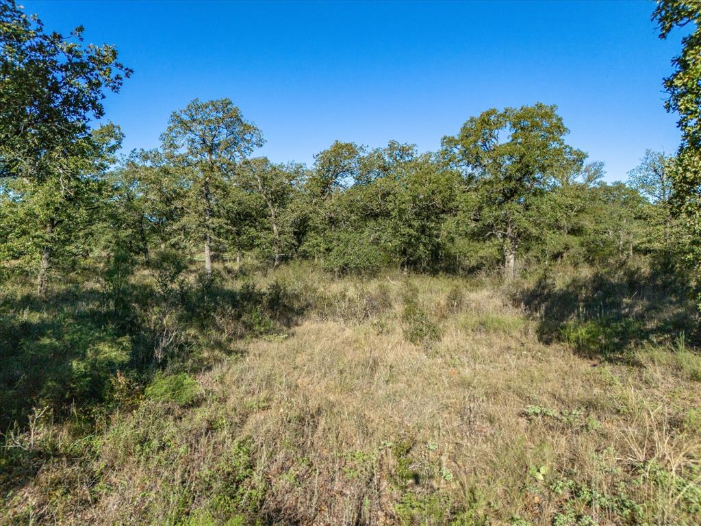 52 acs out of T&P RR - Land