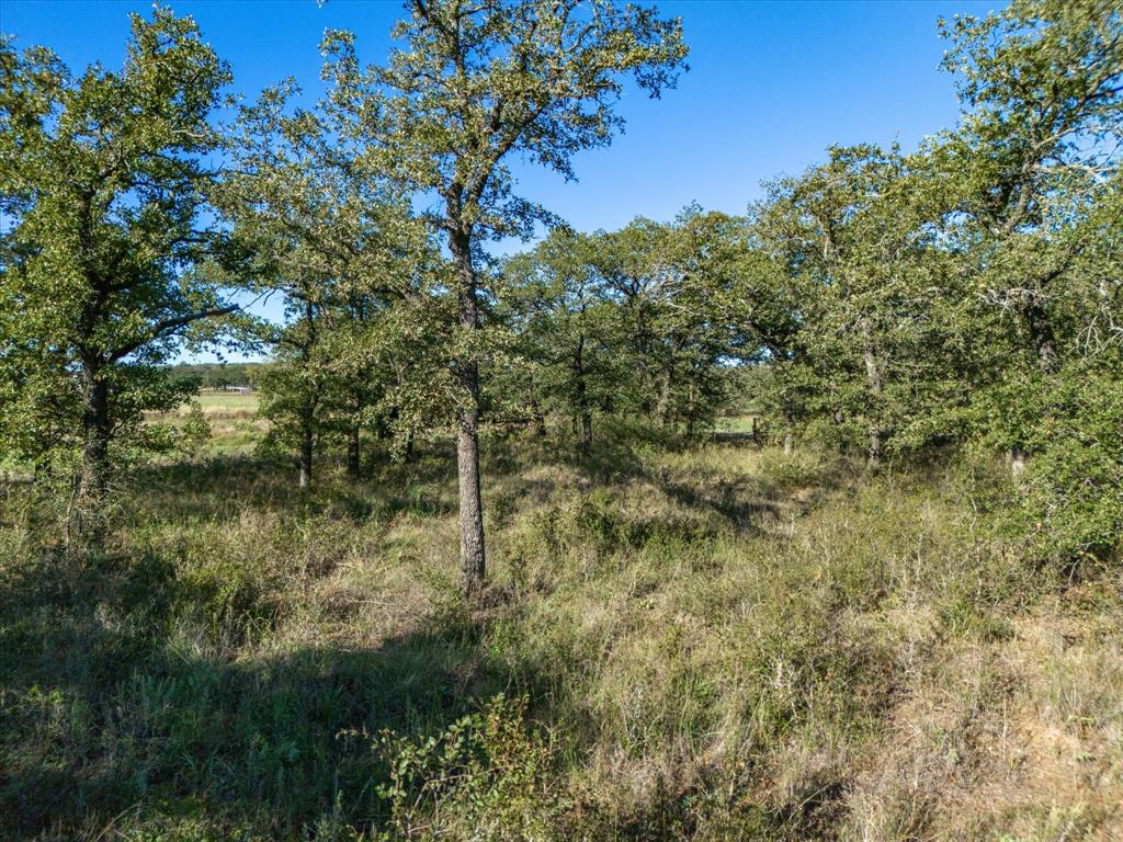 52 acs out of T&P RR - Land