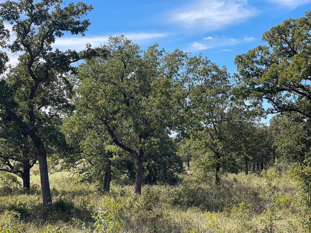 52 acs out of T&P RR - Land