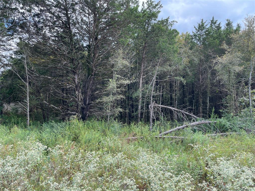 Cedarwood Place - Land