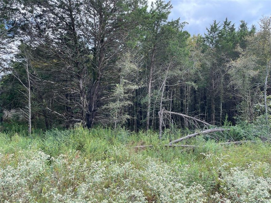 Welcome to the beautiful Cedarwood Place subdivision, in Lindale Texas! Now is your chance to purchase a nice piece of land to build your future home here. Just a short distance to town, all the shopping and dining Lindale has to offer. Just a short drive to I20 for easy access to Dallas, or Shreveport. Multiple lots available! Call today!