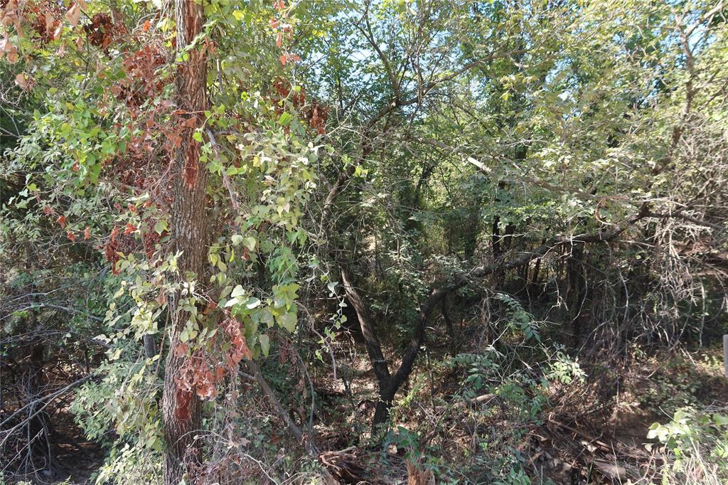 Frontier Shore Units - Land