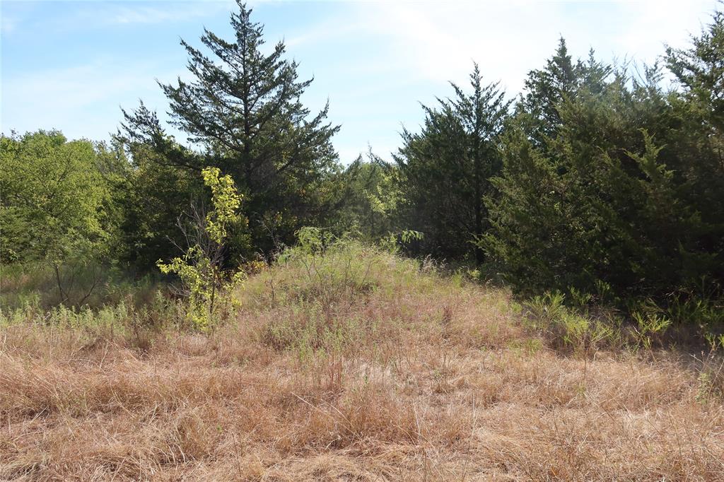 Frontier Shore Units - Land