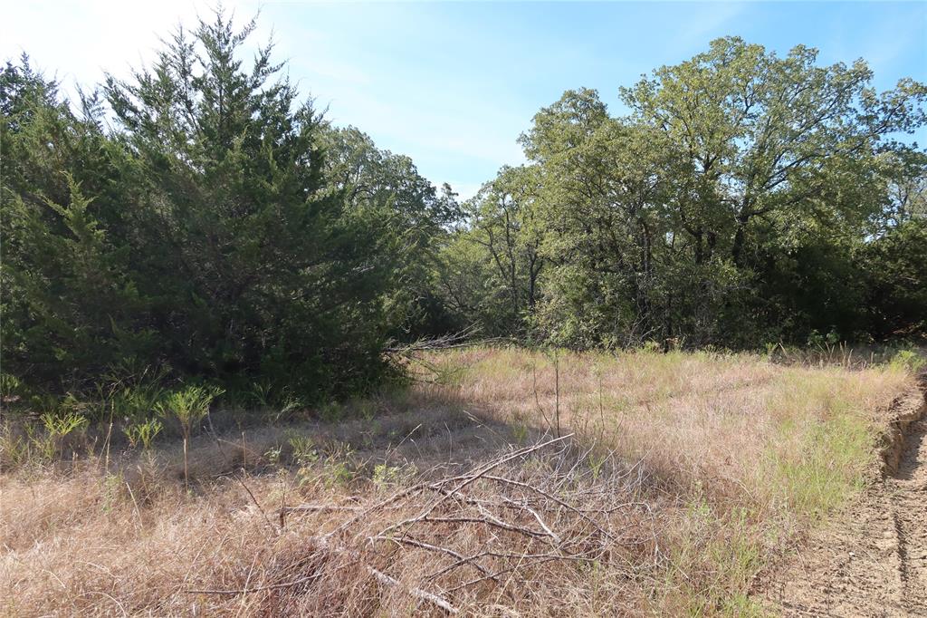 Frontier Shore Units - Land