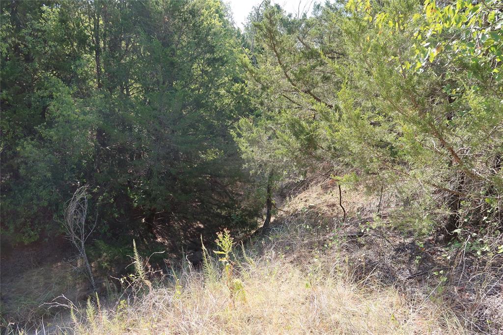 Frontier Shore Units - Land