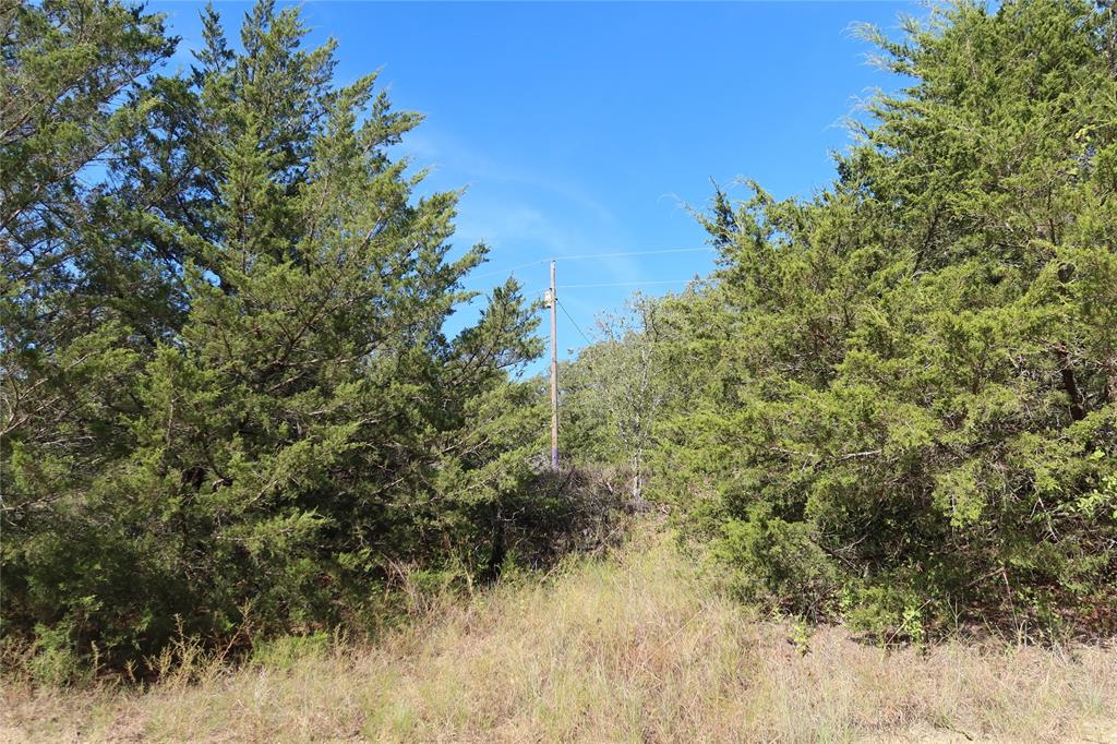 Frontier Shore Units - Land