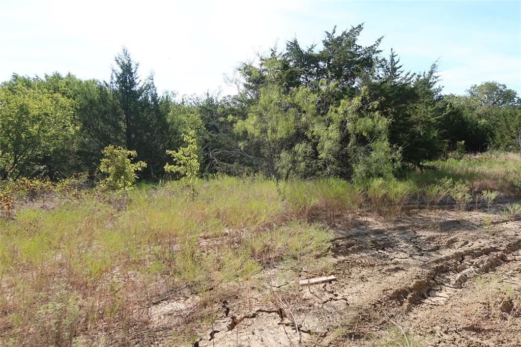 Frontier Shore Units - Land