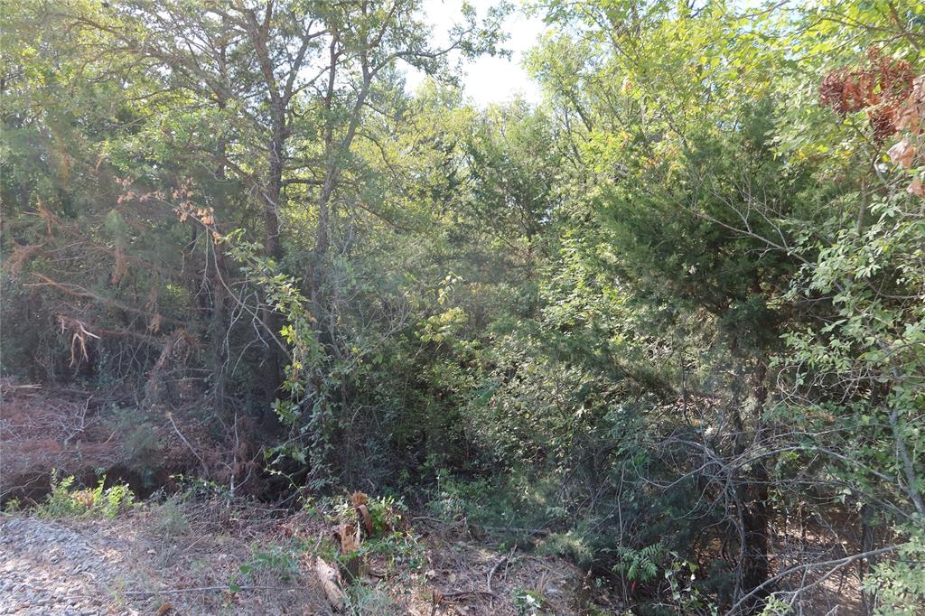 Frontier Shore Units - Land