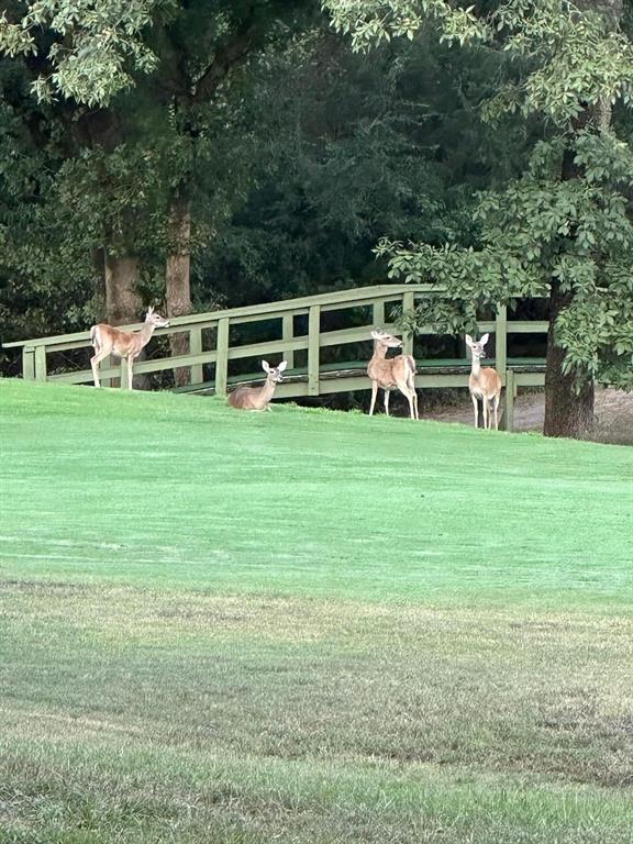 Holly Lake Ranch - Residential