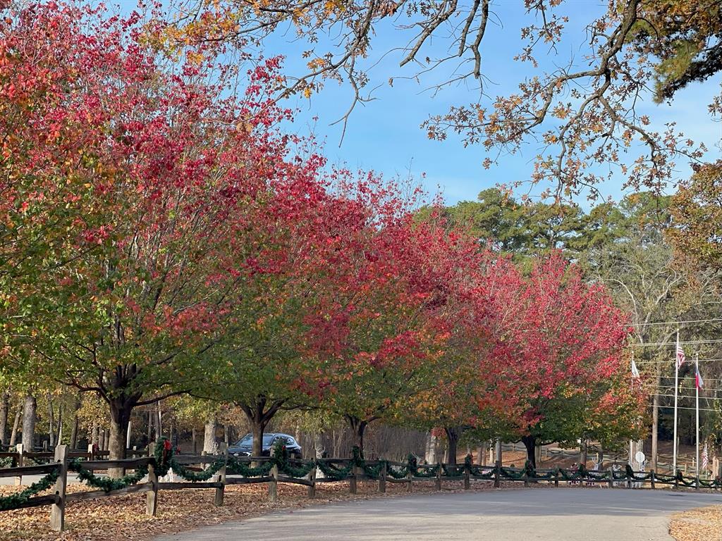 Holly Lake Ranch - Residential