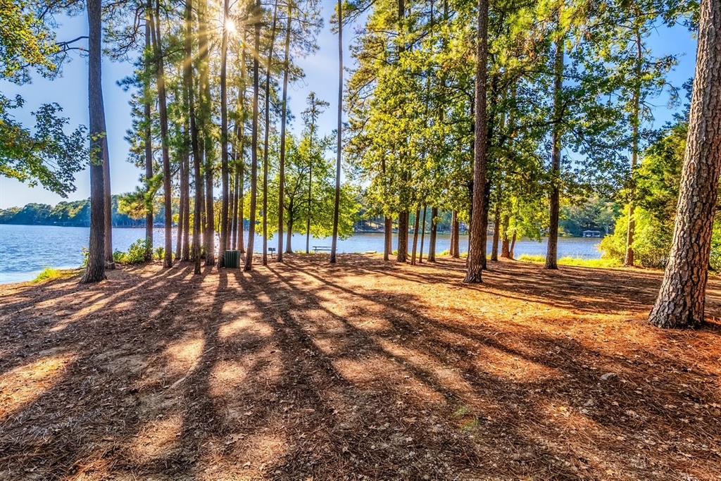 Holly Lake Ranch - Residential