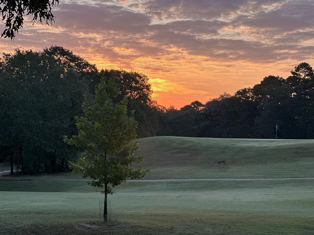 Holly Lake Ranch - Residential