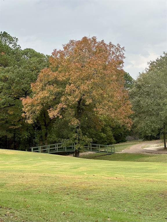 Holly Lake Ranch - Residential