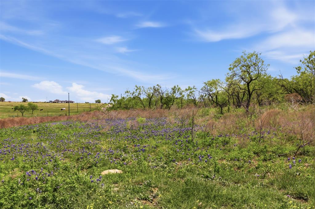 Photo of 6947 Moody Road, Moody, TX 76557 (MLS # 21374998)