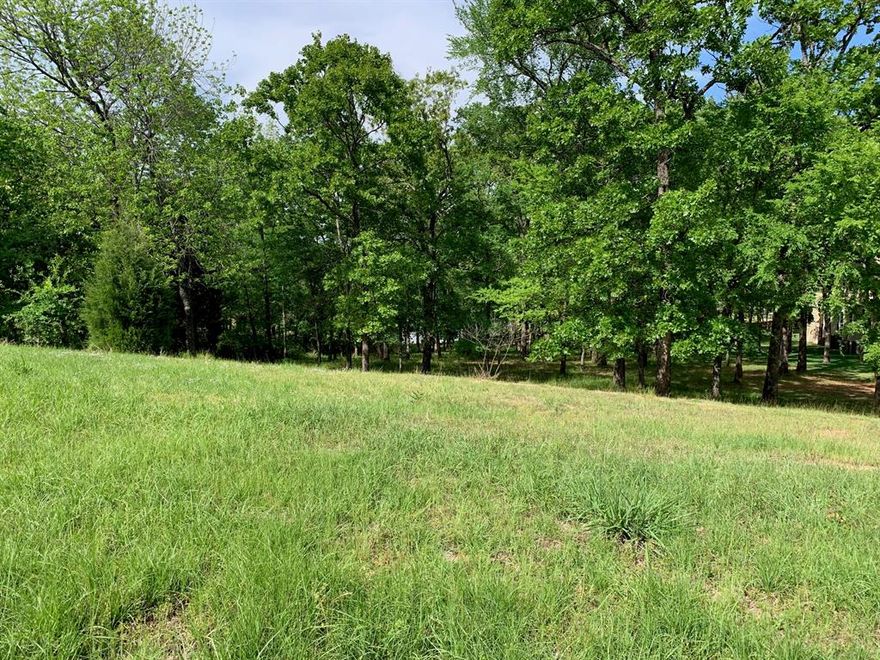 Beautiful 1+ acre waterfront lot with mature trees, rolling terrain, and scenic water views. Ideal for a custom home. or weekend retreat with privacy, direct water access, and a boat slip in the marina. 
Buyer and buyer's agent to do their due diligence on the property, taxes, ISD etc.