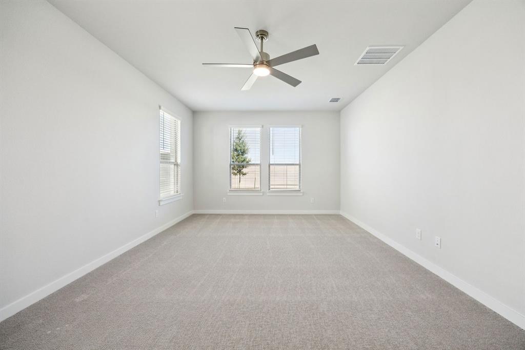 Painted Tree - Residential