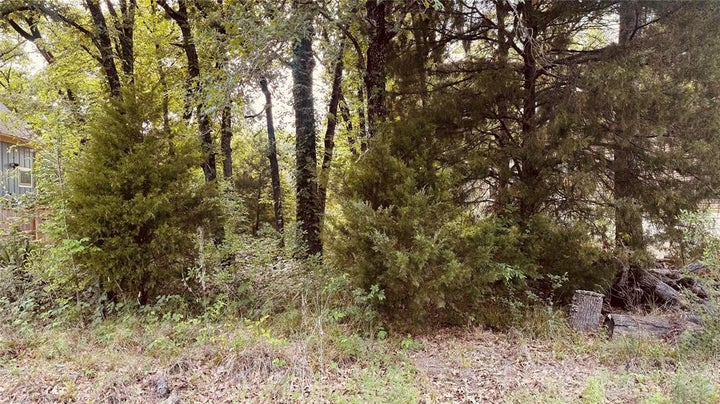 Photo 1 of 1 — 141 Elk Cove Drive, Mabank, TX 75156
