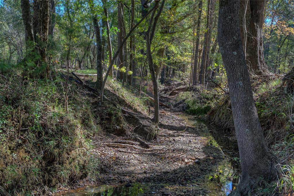 82 Acres FM 1567 W