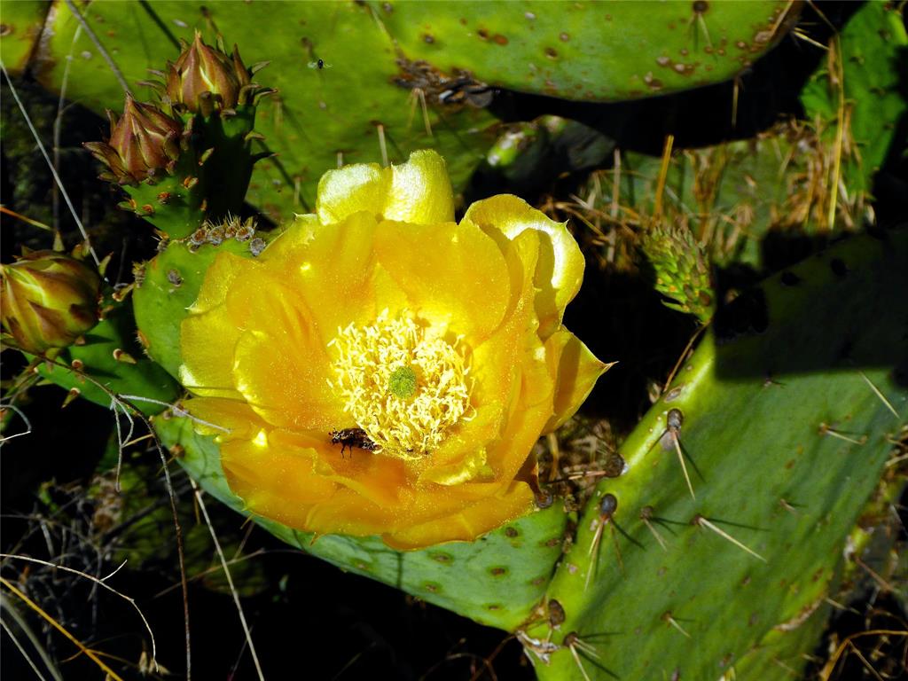Hills Above Possum Kingdom Ph - Land