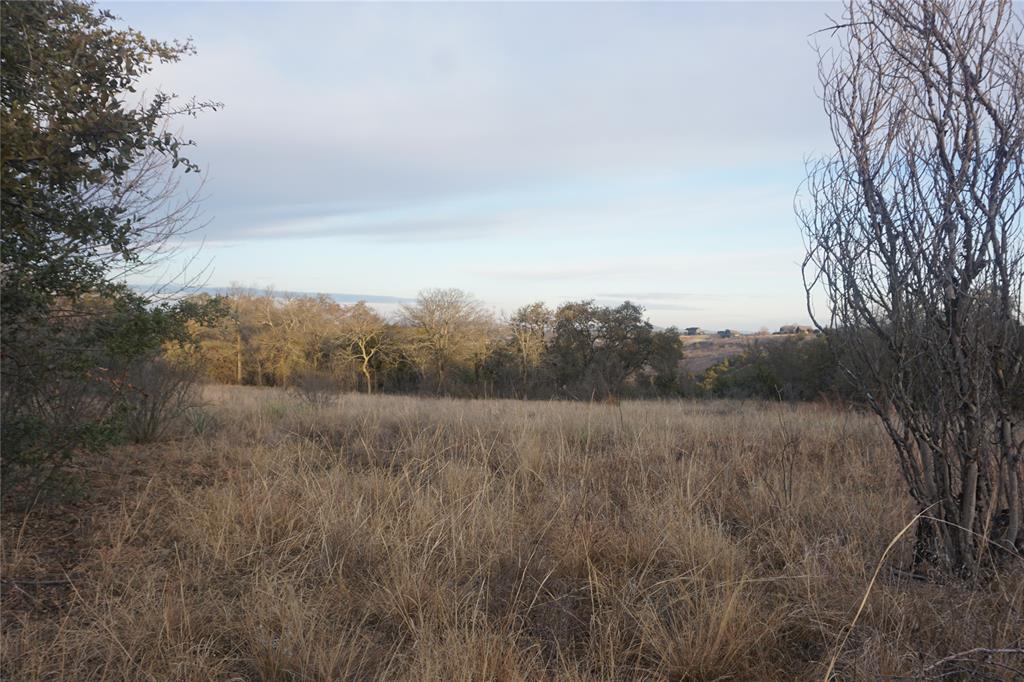 Lot 296 Shooting Star