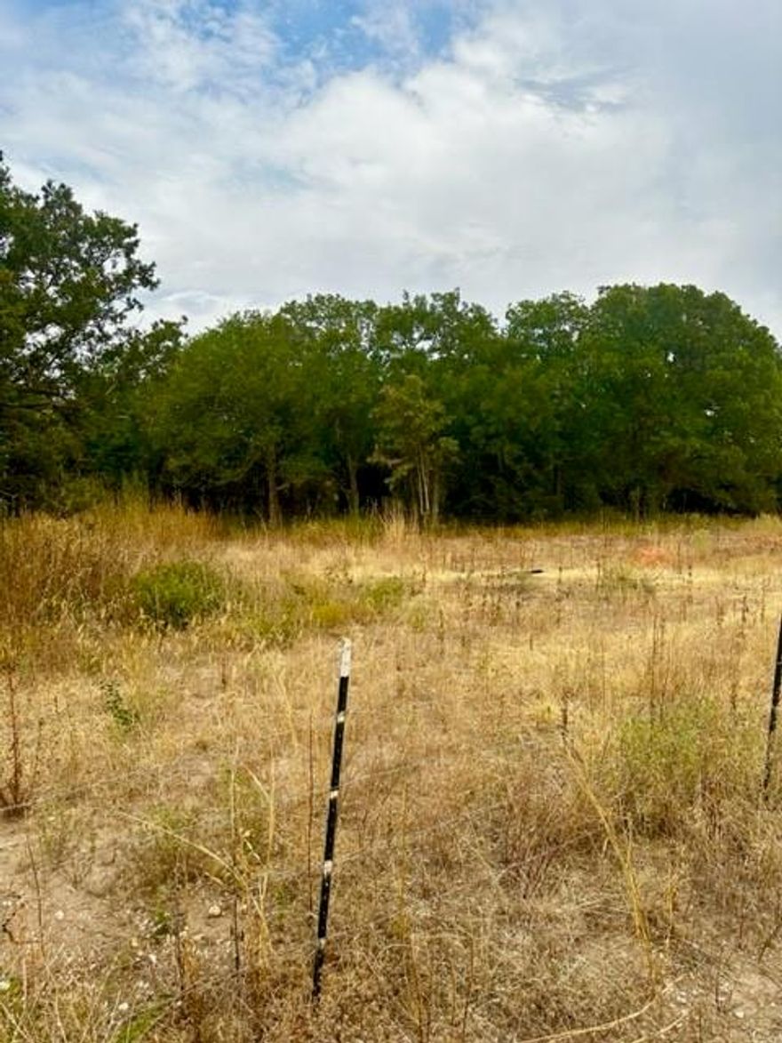 1.76 acres ready for your home, this tract has an old slab that may be perfect for a mobile...Coop water and electric...NO KNOWN RESTRICTIONS TRACT 3 can be sold with Tract 2 that has a really cute updated doublewide with additional 1.75 acres for a total of 3.5 acres call Gilda for pricing.