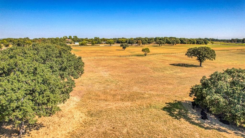 Alvis-Canavan; Blue Bonnet Farms - Farm