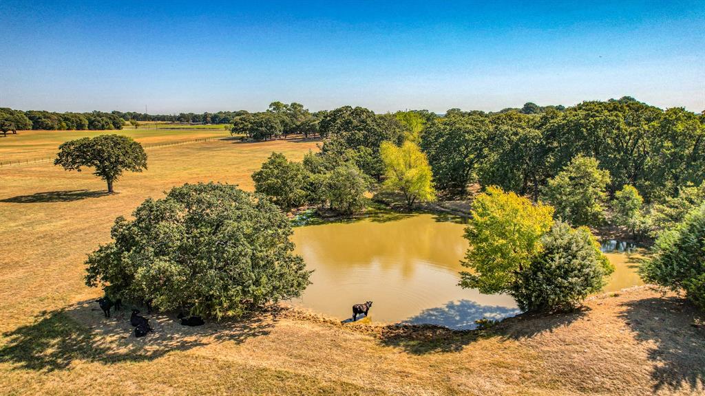 Alvis-Canavan; Blue Bonnet Farms - Farm