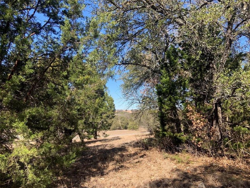 Are you looking for that place to build your dream home? Interior Corner Lot surrounded by the awesomeness of a golf course! This land has views of holes seven and eight.  Did you say Corner LOT with Views?  Beautiful Oaks and Cedars await to provide great shade to your new home.  This lot offers views that are wonderful....  HOA does have minimum SQ ft requirements.  No Barndo's, masonry only. NO sign on lot as HOA does not allow.
