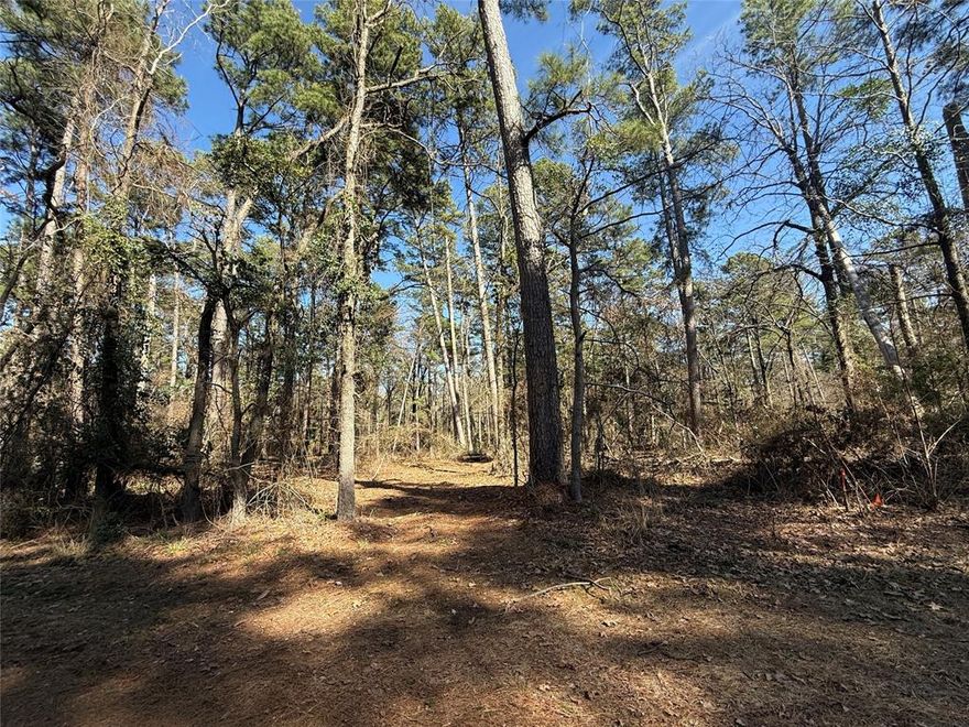 Plenty of woods allow you to pick the best spot to clear while keeping enough trees for privacy. The secured subdivision sits southeast of Winnsboro and Northwest of Gilmer, Texas. Heavily wooded .57 acres inside the gated 4D Country Estates, provides a scenic building spot! Inside, you'll find amenities such as a fishing pond with dock and pier and a clubhouse. With rolling terrain, you have options for building sites. Keep it as raw land for a wooded escape, or turn it into your great weekend getaway, or make it your permanent residence!