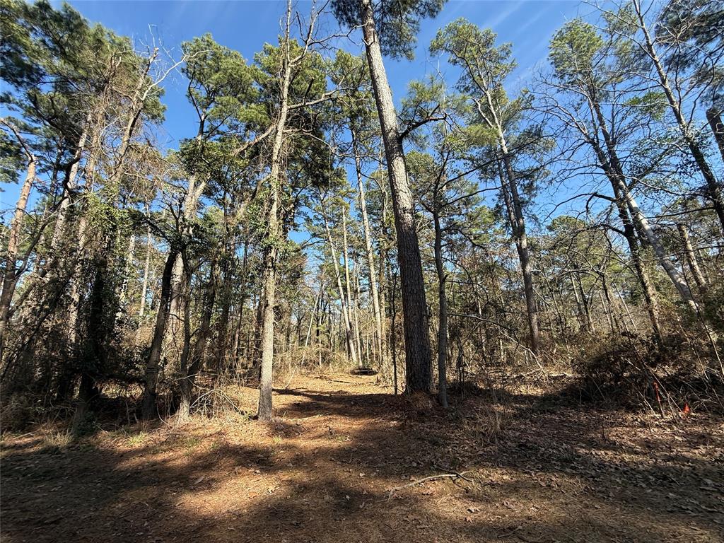 4D Country Estate - Land