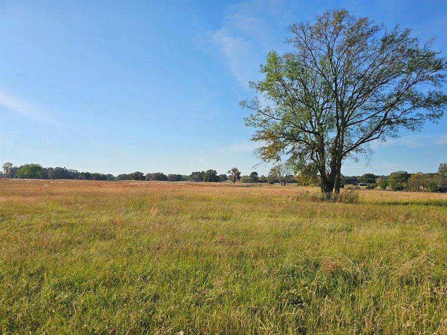 Discover your perfect slice of Northeast Texas with this beautiful unrestricted property in Mount Pleasant. Located in Harts Bluff ISD, this land offers easy access from county road. It features a great mix of trees and open pasture and is partially fenced. Recently surveyed, this prime location is perfect for building your dream home, livestock or homesteading. Don't miss this rare opportunity to own a piece of Mount Pleasant's countryside. Seller will owner finance!!! Contact LA for owner financing price and terms.