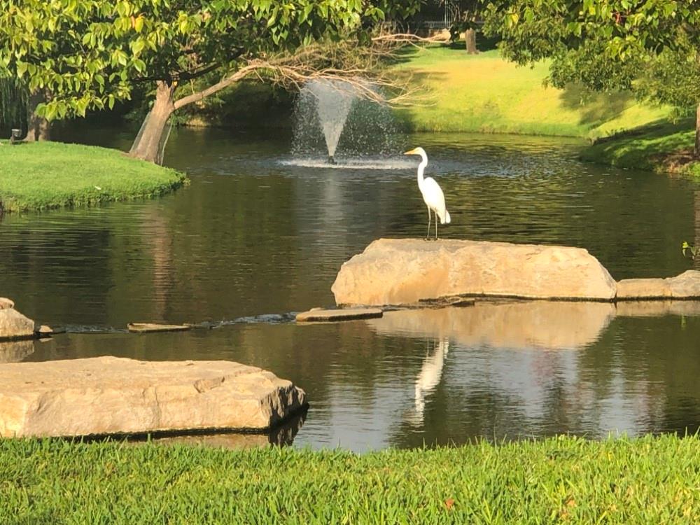 Lake Forest Ph C - Residential