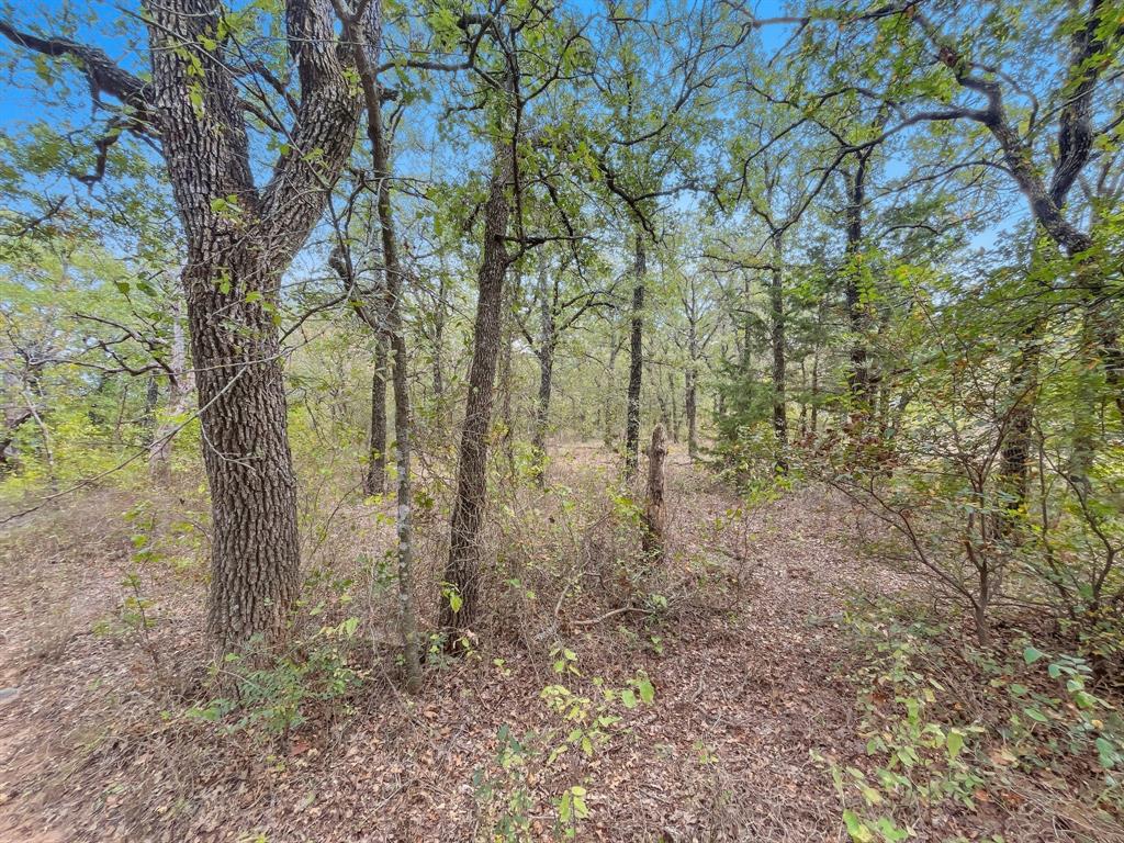 156 Private Road 1778