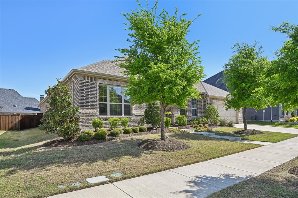 3770 Dewberry Lane