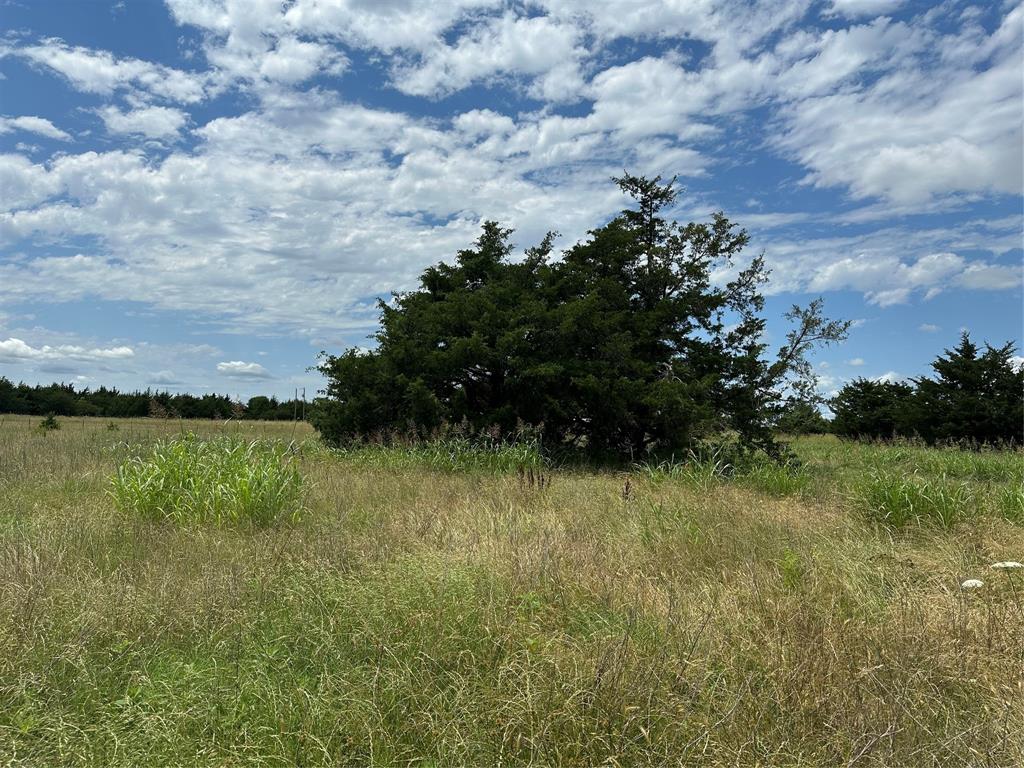 Farmersville Park Estates - Land