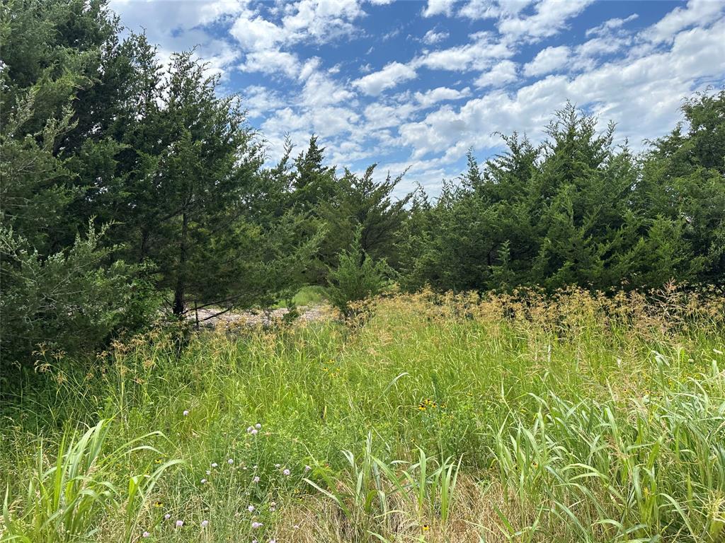 Farmersville Park Estates - Land