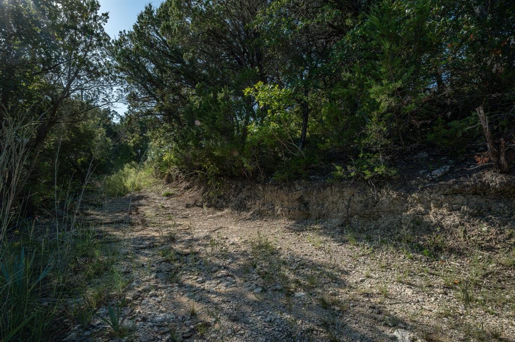 E M Burson Surv A-69 - Land